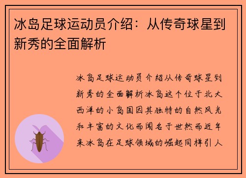 冰岛足球运动员介绍：从传奇球星到新秀的全面解析
